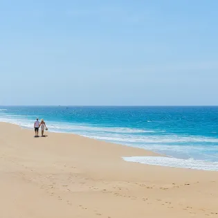 31  pedregal neighborhood 18