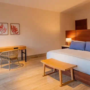 31 bedroom 1 villa saguaro