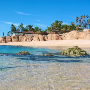 31 cielito del mar