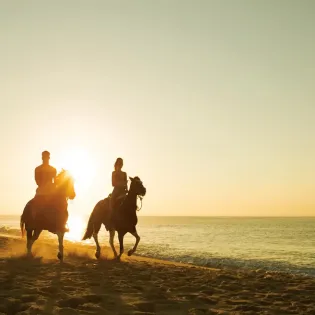31 dreams los cabos horsebackriding