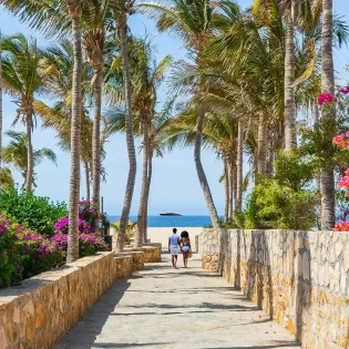 32  pedregal neighborhood 58