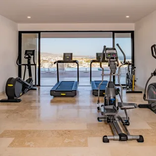 33 gym montemar luxury hotel residences at pedregal unit 503