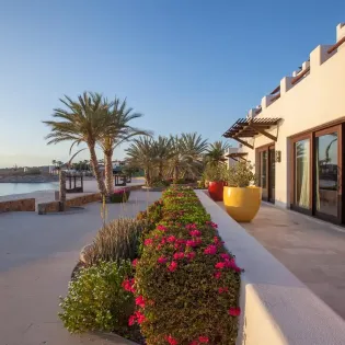 4 residence 101 102 playa la paz