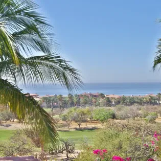 43 exterior casa tortuga