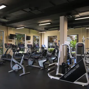 43 gym villa del palmar beach resort   spa