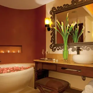 45 secrets puerto los cabos bathroom