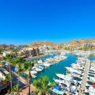 6 exterior marina fiesta resort