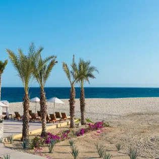 8 zoetry casa del mar los cabos beachviews