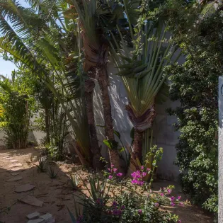 villa sun guadalupe 11