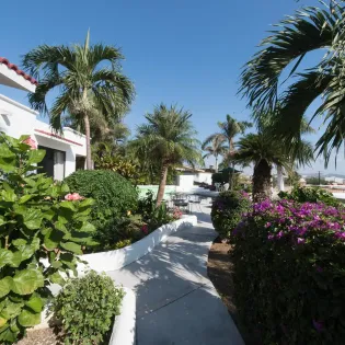 villa sun guadalupe 6