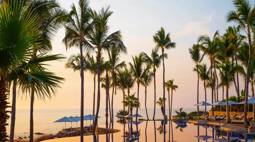 6 exterior one only palmilla 7