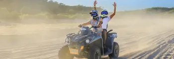 Land Tours
