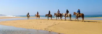 Horseback Tours