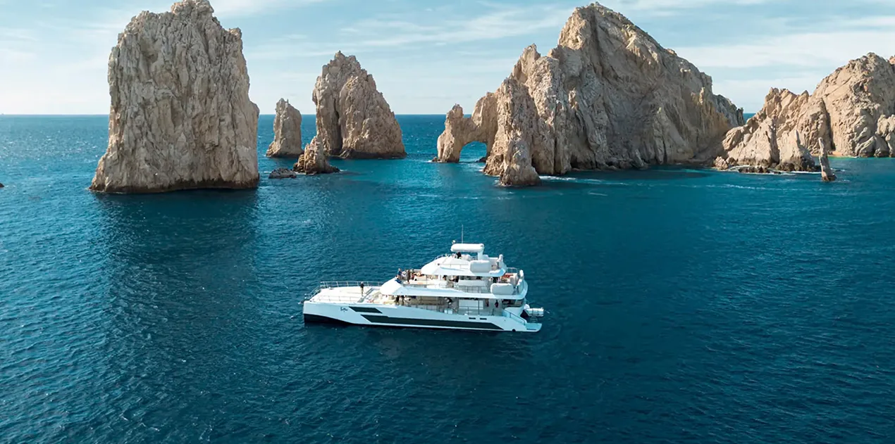 100 twenty five  premium catamarantrigger