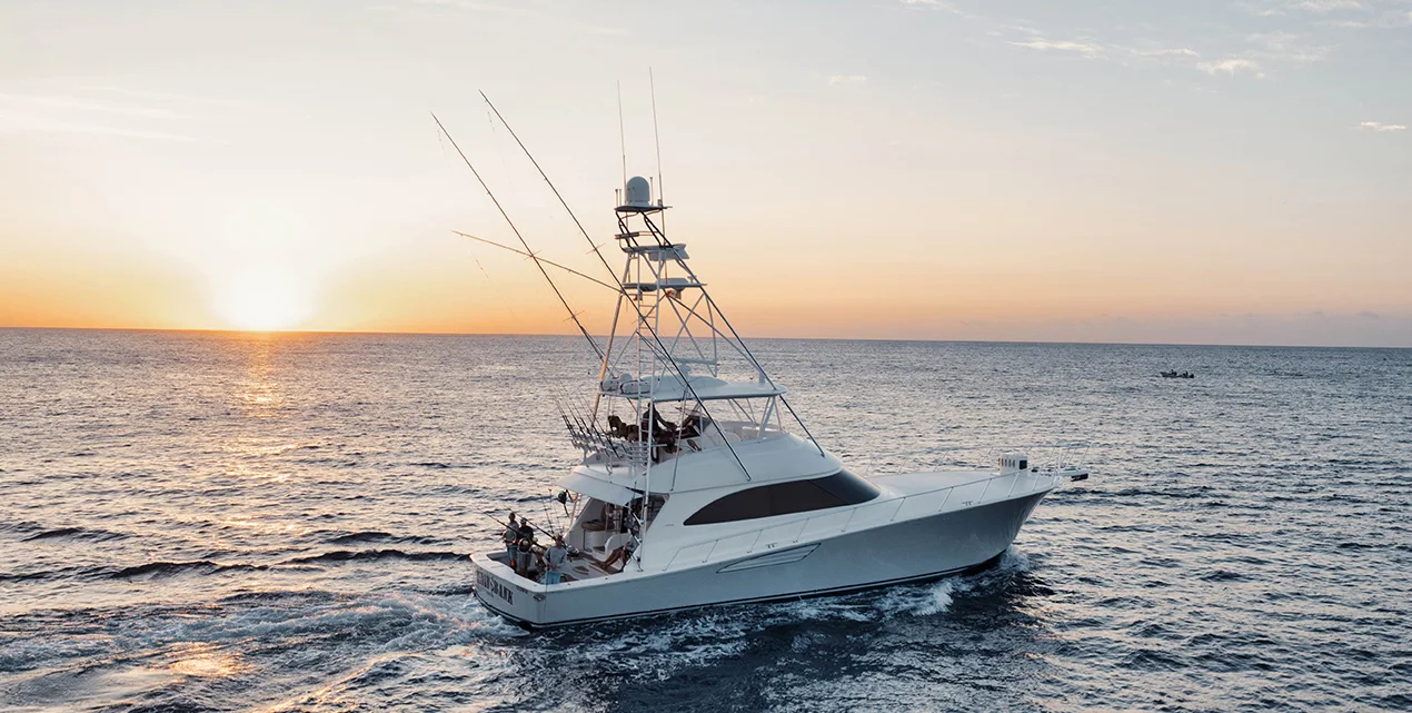 66  viking  friday bank  main trigger