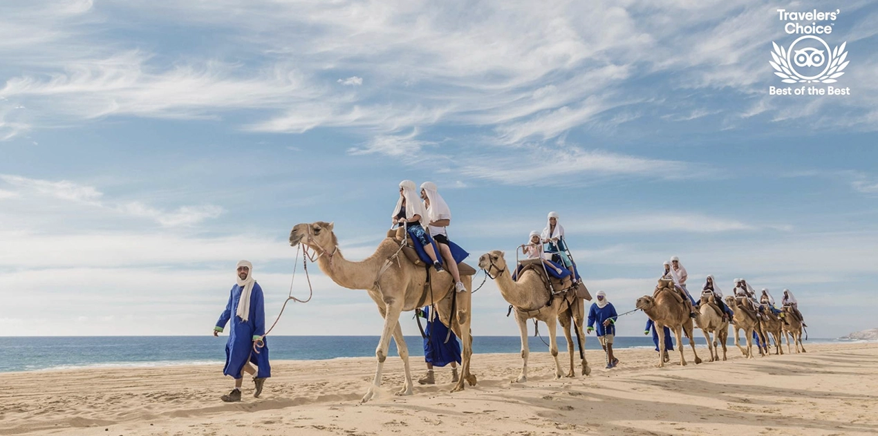 camel safari main trigger