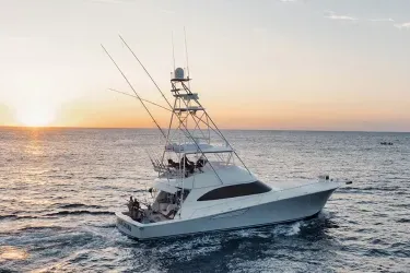 66  viking  friday bank  main trigger