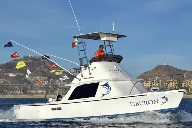 bertram sportfisher main trigger