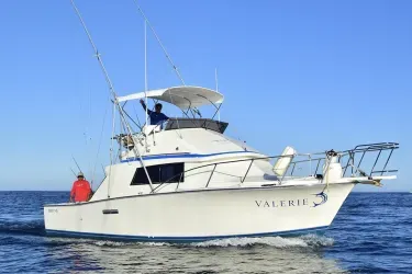 valerie main trigger