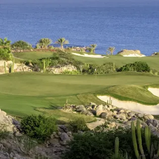 1 cabo del sol