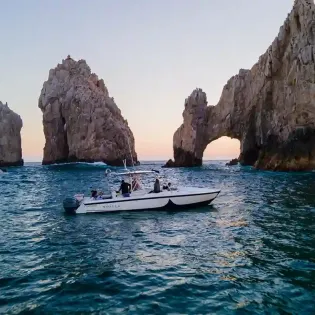 1 la mobula