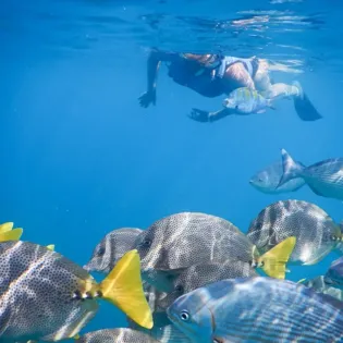 1.1 cabo exp sea