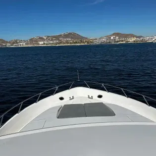 10 sea beast