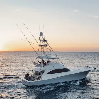 13 66 viking  friday bank