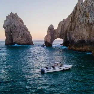 2 la mobula