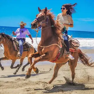 3 amigos cabos