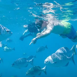 3 cabo exp sea