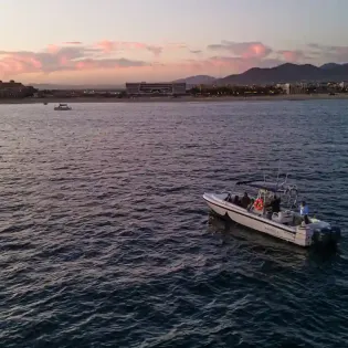 3 la mobula