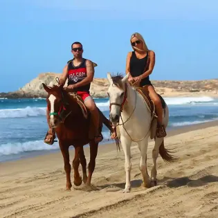 4 amigos cabos