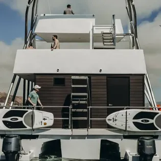 4 pelicanx
