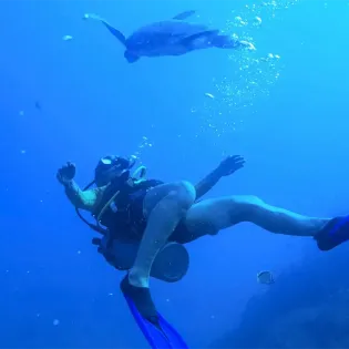 5 cabo adv sea tours