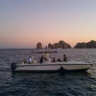 5 la mobula