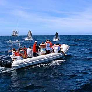 6 cabo exp sea