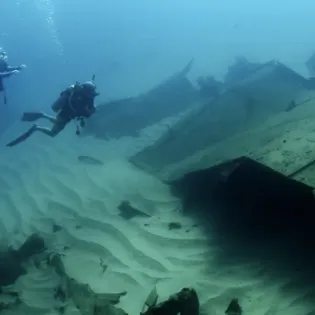 7 manta diving