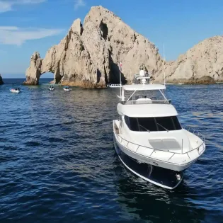 7 sea beast
