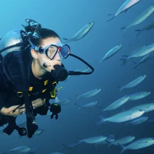 9 manta diving