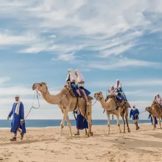 camel safari 1