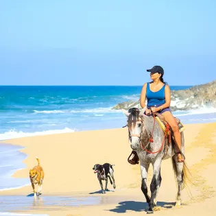 los cabos horseback riding tour 11