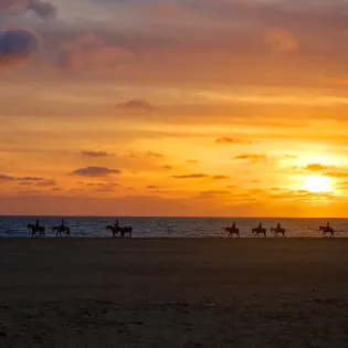 los cabos horseback riding tour 2