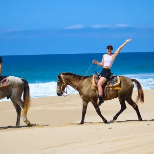 los cabos horseback riding tour 3