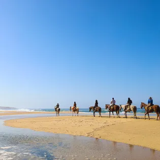 los cabos horseback riding tour 8