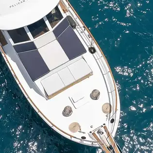 pelican13 1