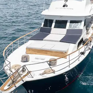 pelican13 2
