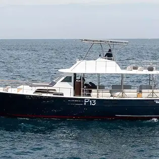 pelican13 6