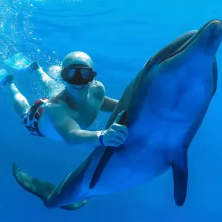tourscabodolphins 3