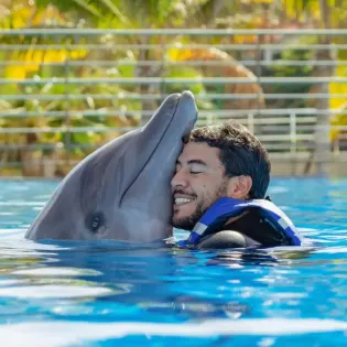 tourscabodolphins 5